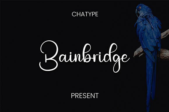 Bainbridge: A Handwritten Script Font That Elevates Small Business Branding