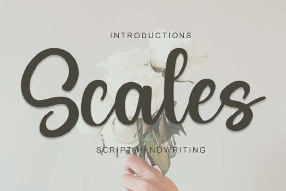 Scales: A Handwritten Font That Elevates Digital Design